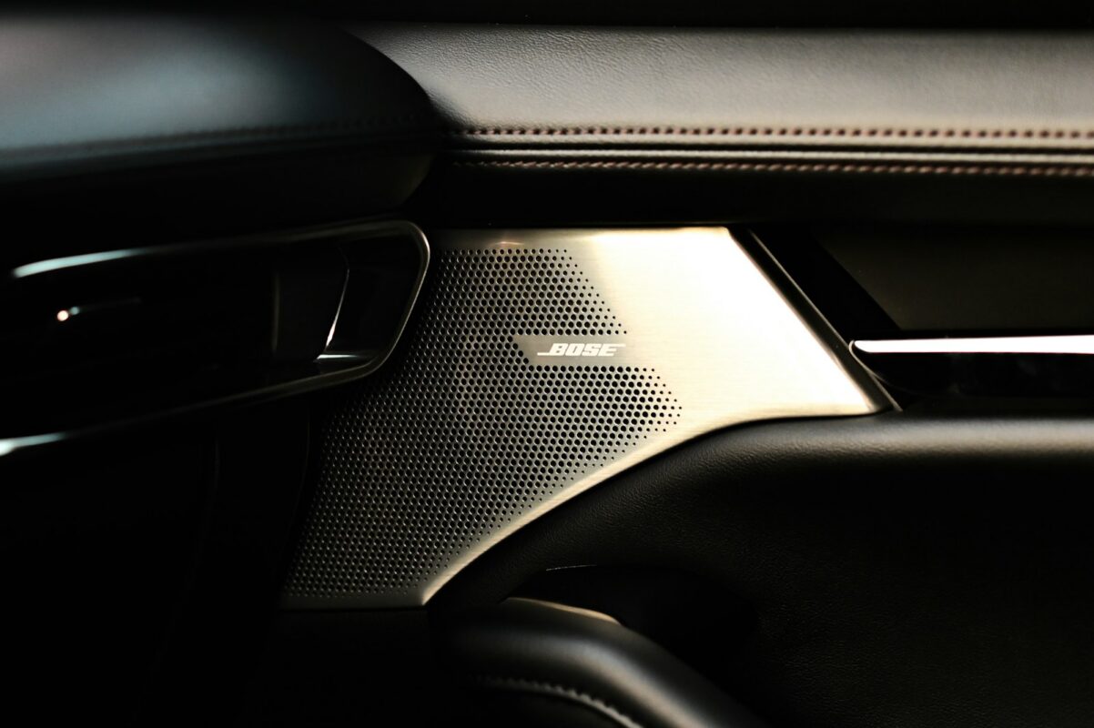 Luxury car interior with door speaker