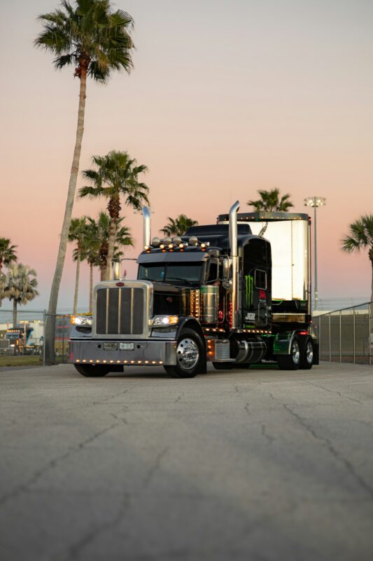 Semi truck parked under palm trees
